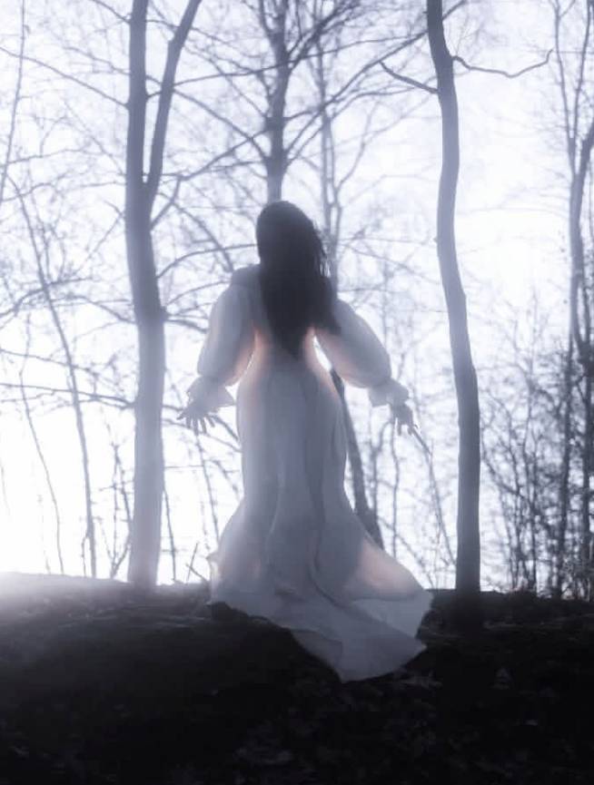 Dallu area Tira chaiieako xa