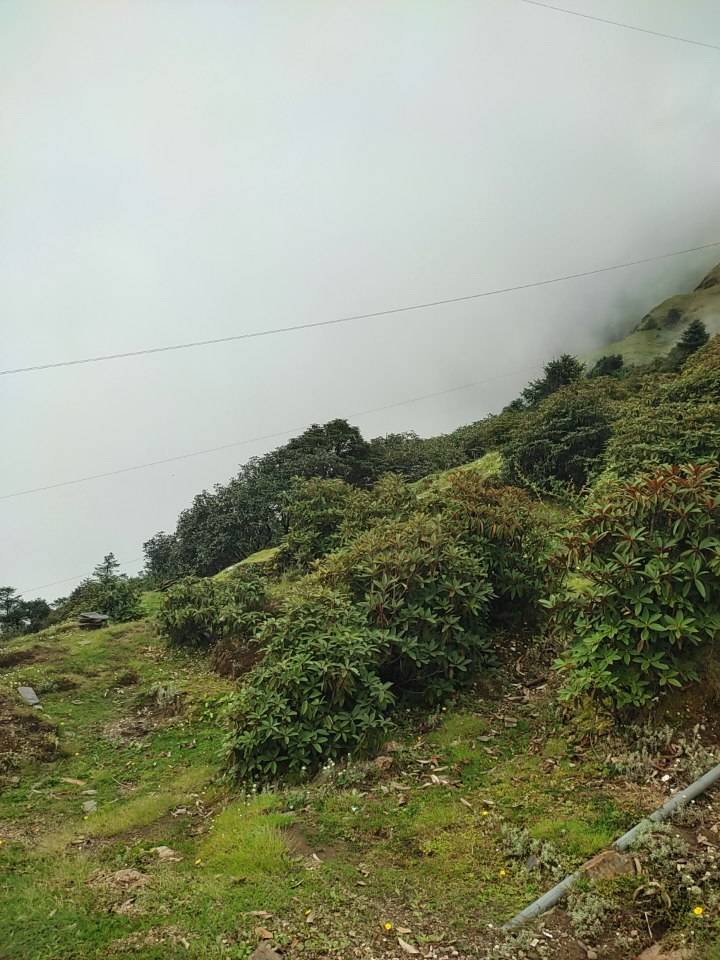 4 hajar samma KO room