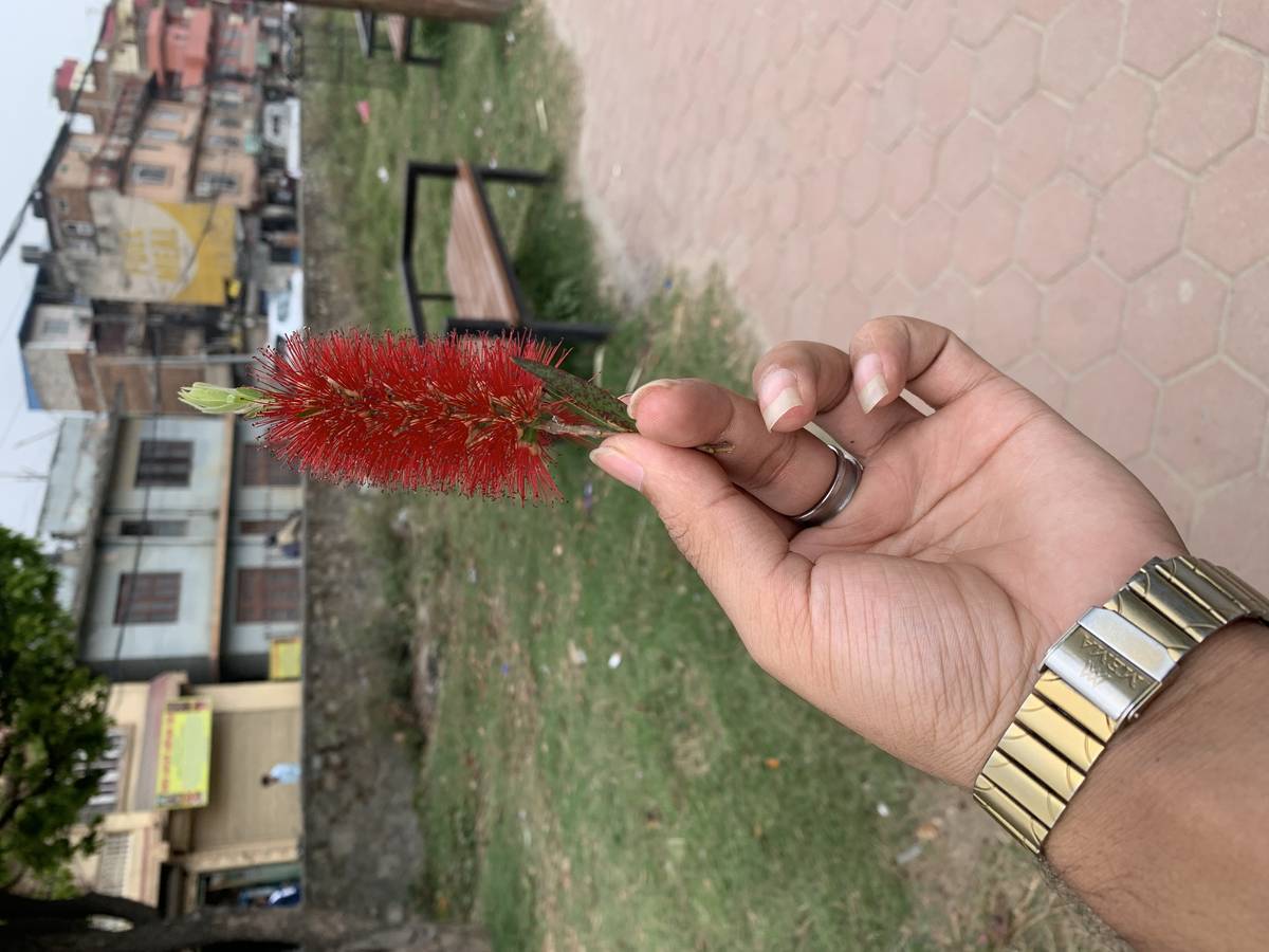 Thali Ma Room Chaiyo