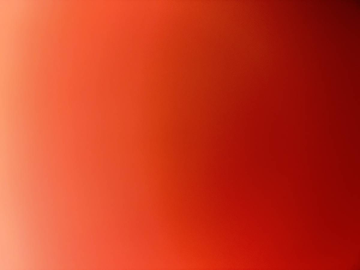 Single room for rent